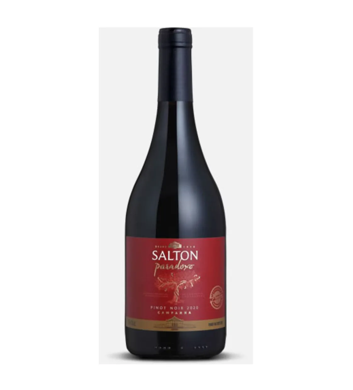 VINHO SALTON PARADOXO PINOT NOIR 750ML